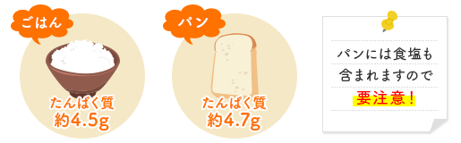 【ごはん】たんぱく質：約4.5g【パン】たんぱく質：約4.7g パンにも食塩は含まれますので要注意！