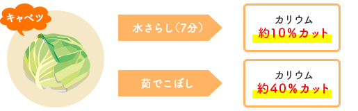 【キャベツの場合】水さらしでカリウム約10%カット、茹でこぼしでカリウム約40%カット
