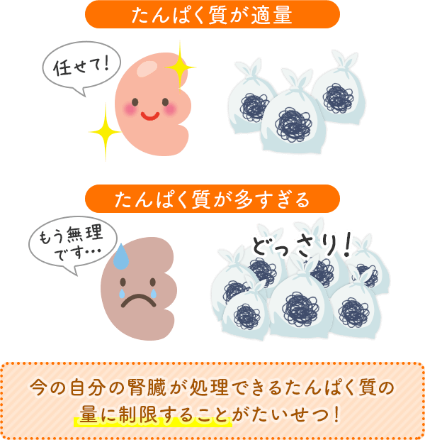 今の自分の腎臓が処理できるたんぱく質の量に制限することがたいせつ！
