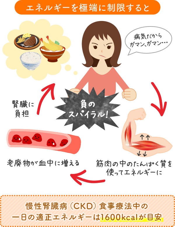 慢性腎臓病（CKD）食事療法中の一日の適正エネルギーは1600kcalが目安